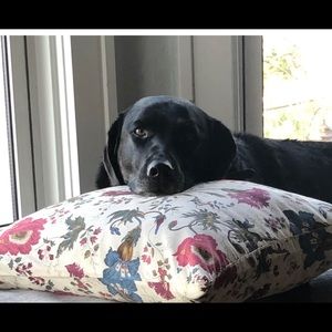 Meet your Posher, Barb